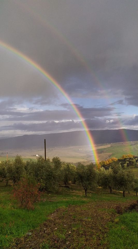 https://www.olivekiara.com/20201209_162816.jpg